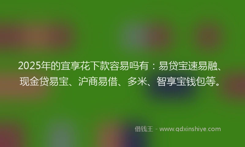 2025年的宜享花下款容易吗有：易贷宝速易融、现金贷易宝、沪商易借、多米、智享宝钱包等。