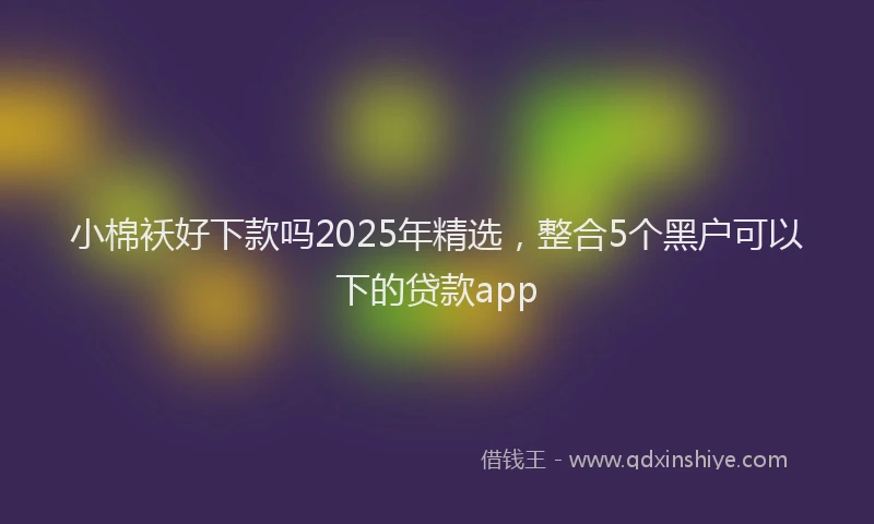 小棉袄好下款吗2025年精选，整合5个黑户可以下的贷款app