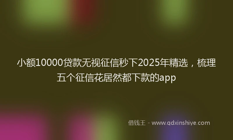 小额10000贷款无视征信秒下2025年精选，梳理五个征信花居然都下款的app