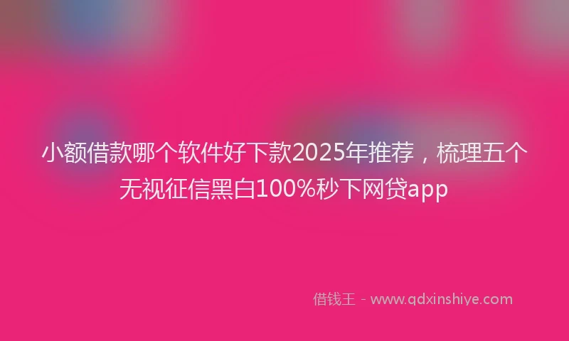 小额借款哪个软件好下款2025年推荐，梳理五个无视征信黑白100%秒下网贷app