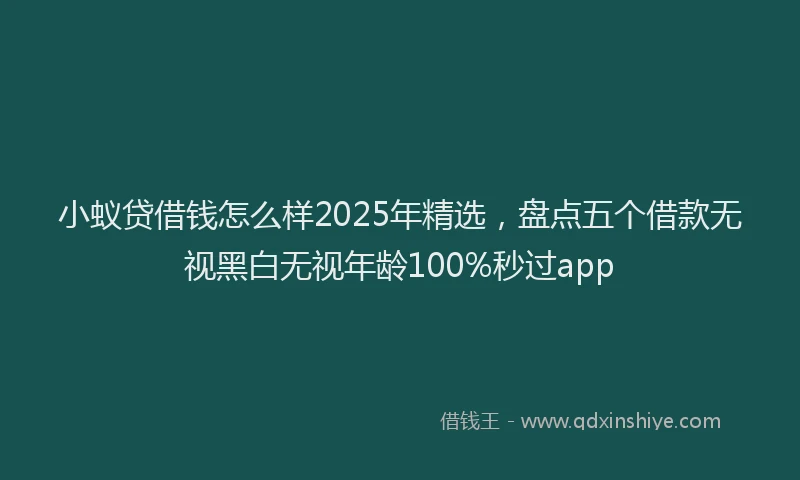 小蚁贷借钱怎么样2025年精选，盘点五个借款无视黑白无视年龄100%秒过app