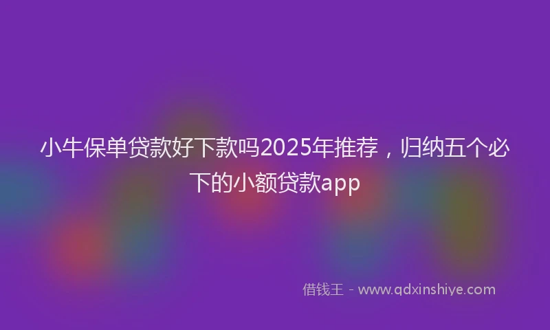 小牛保单贷款好下款吗2025年推荐，归纳五个必下的小额贷款app