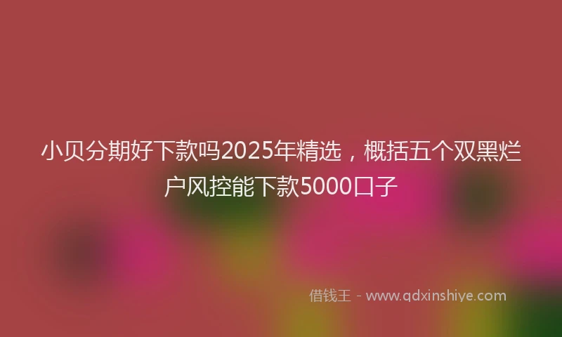 小贝分期好下款吗2025年精选，概括五个双黑烂户风控能下款5000口子