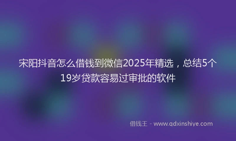宋阳抖音怎么借钱到微信2025年精选，总结5个19岁贷款容易过审批的软件