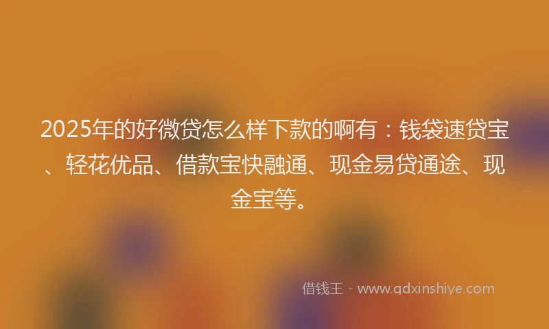 2025年的好微贷怎么样下款的啊有：钱袋速贷宝、轻花优品、借款宝快融通、现金易贷通途、现金宝等。
