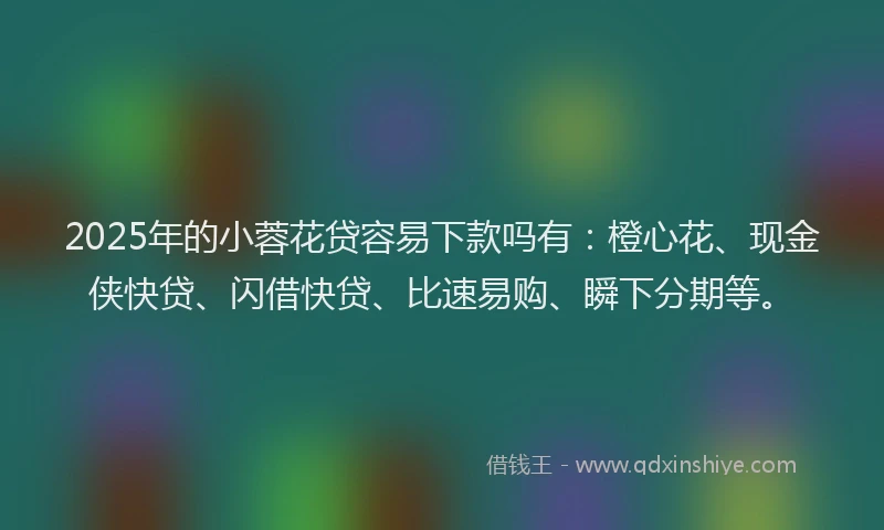 2025年的小蓉花贷容易下款吗有：橙心花、现金侠快贷、闪借快贷、比速易购、瞬下分期等。