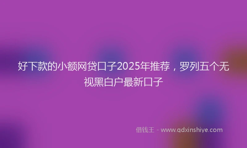 好下款的小额网贷口子2025年推荐，罗列五个无视黑白户最新口子
