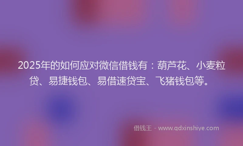 2025年的如何应对微信借钱有：葫芦花、小麦粒贷、易捷钱包、易借速贷宝、飞猪钱包等。