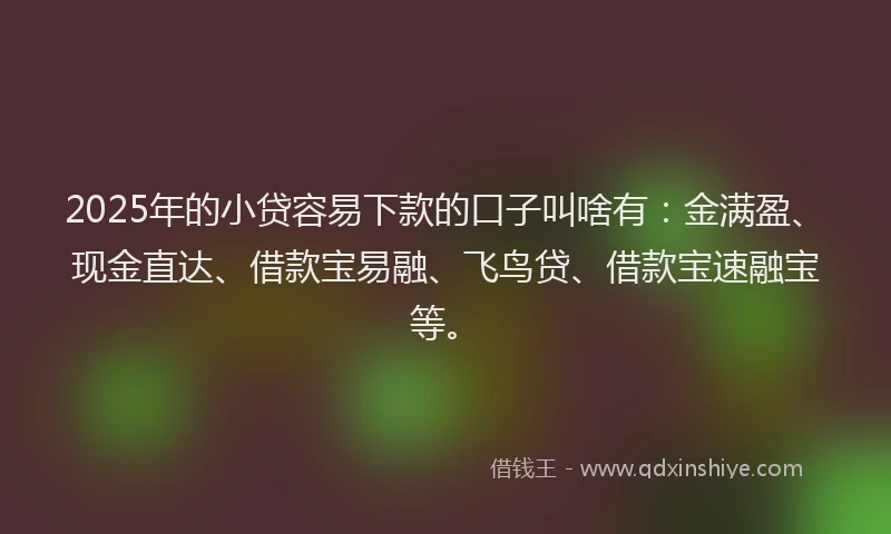2025年的小贷容易下款的口子叫啥有：金满盈、现金直达、借款宝易融、飞鸟贷、借款宝速融宝等。