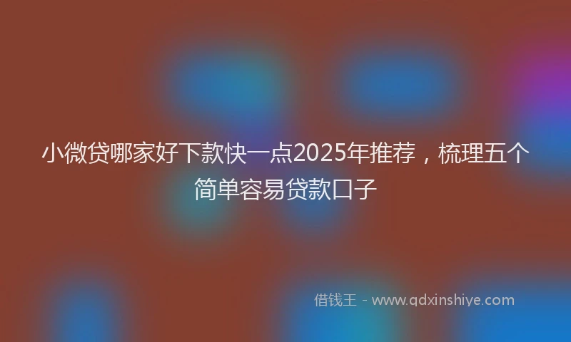 小微贷哪家好下款快一点2025年推荐，梳理五个简单容易贷款口子