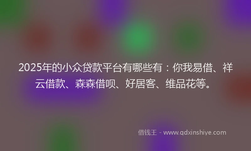 2025年的小众贷款平台有哪些有：你我易借、祥云借款、森森借呗、好居客、维品花等。