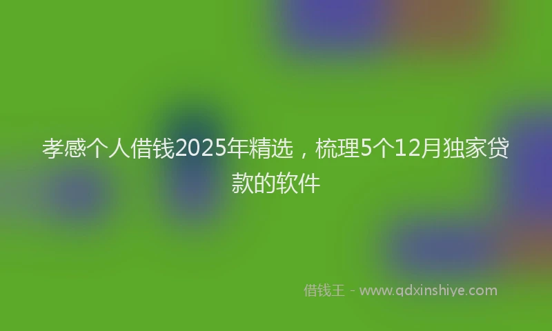 孝感个人借钱2025年精选，梳理5个12月独家贷款的软件