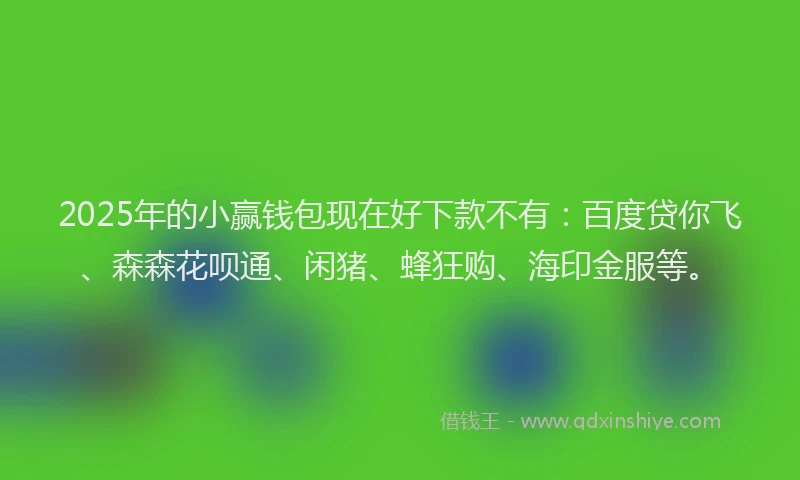 2025年的小赢钱包现在好下款不有：百度贷你飞、森森花呗通、闲猪、蜂狂购、海印金服等。