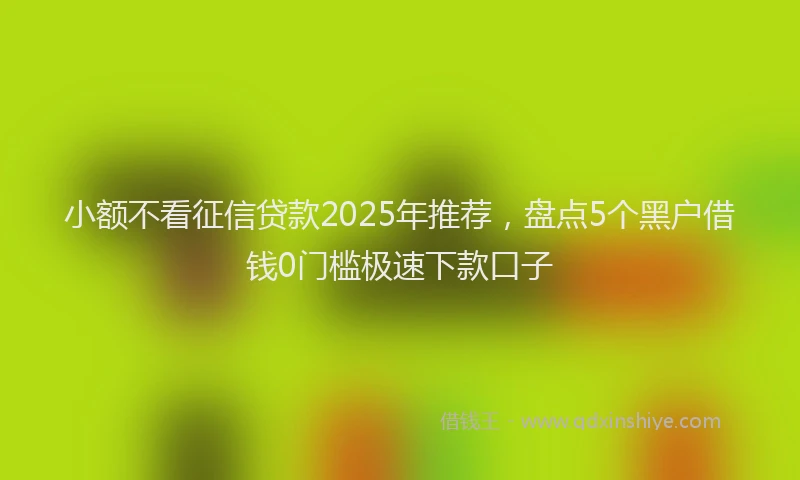 小额不看征信贷款2025年推荐，盘点5个黑户借钱0门槛极速下款口子