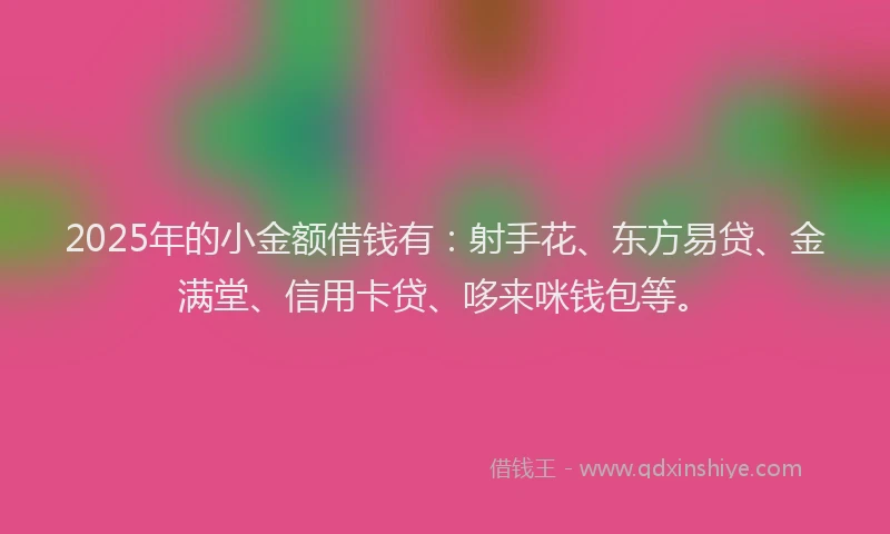 2025年的小金额借钱有：射手花、东方易贷、金满堂、信用卡贷、哆来咪钱包等。