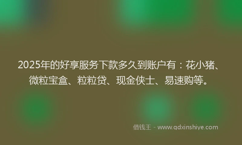 2025年的好享服务下款多久到账户有：花小猪、微粒宝盒、粒粒贷、现金侠士、易速购等。