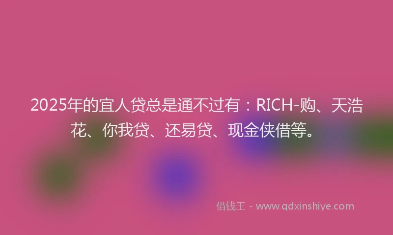 2025年的宜人贷总是通不过有：RICH-购、天浩花、你我贷、还易贷、现金侠借等。