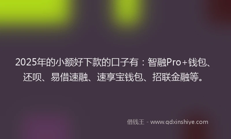2025年的小额好下款的口子有：智融Pro+钱包、还呗、易借速融、速享宝钱包、招联金融等。
