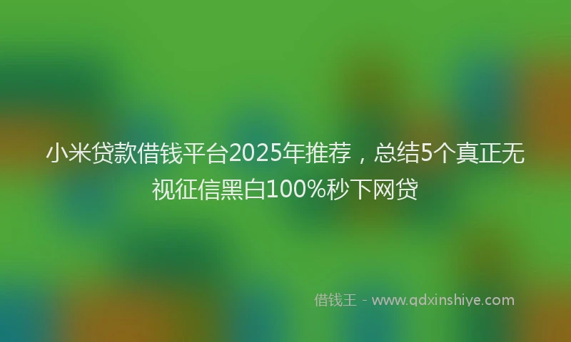 小米贷款借钱平台2025年推荐，总结5个真正无视征信黑白100%秒下网贷