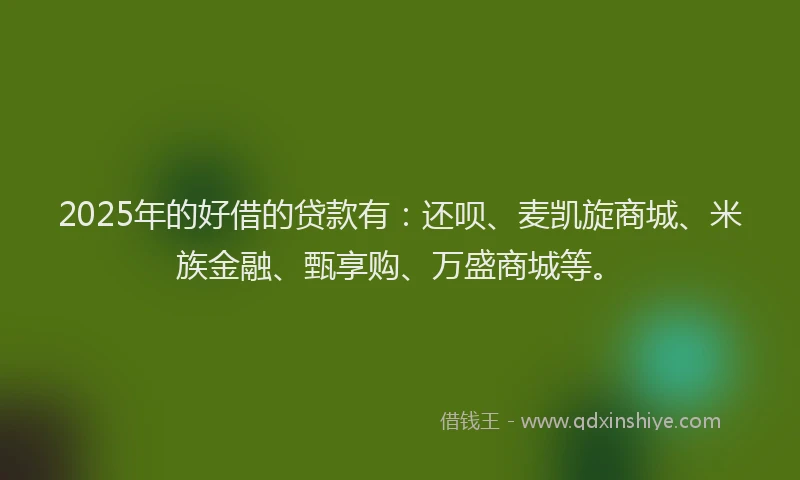 2025年的好借的贷款有：还呗、麦凯旋商城、米族金融、甄享购、万盛商城等。