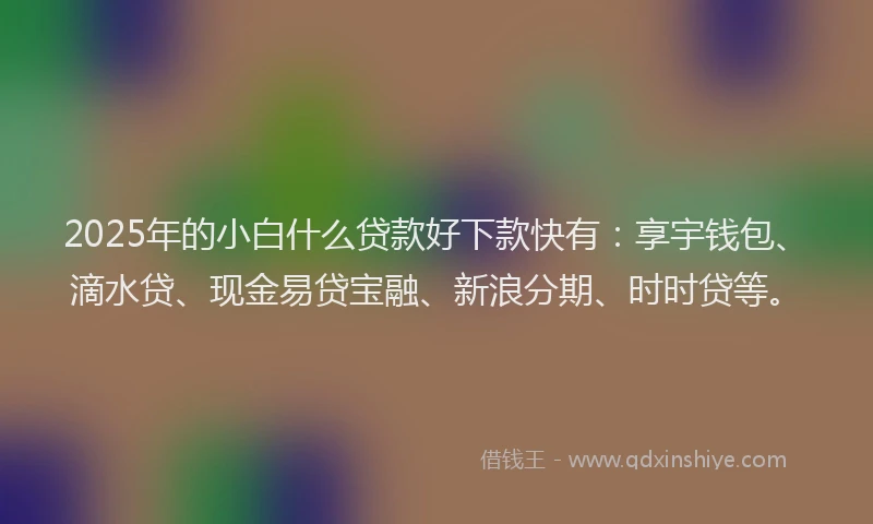 2025年的小白什么贷款好下款快有：享宇钱包、滴水贷、现金易贷宝融、新浪分期、时时贷等。
