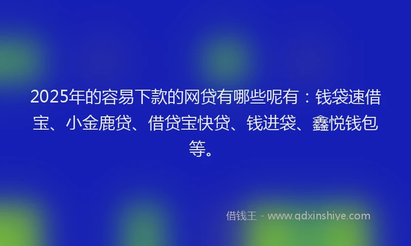 2025年的容易下款的网贷有哪些呢有：钱袋速借宝、小金鹿贷、借贷宝快贷、钱进袋、鑫悦钱包等。