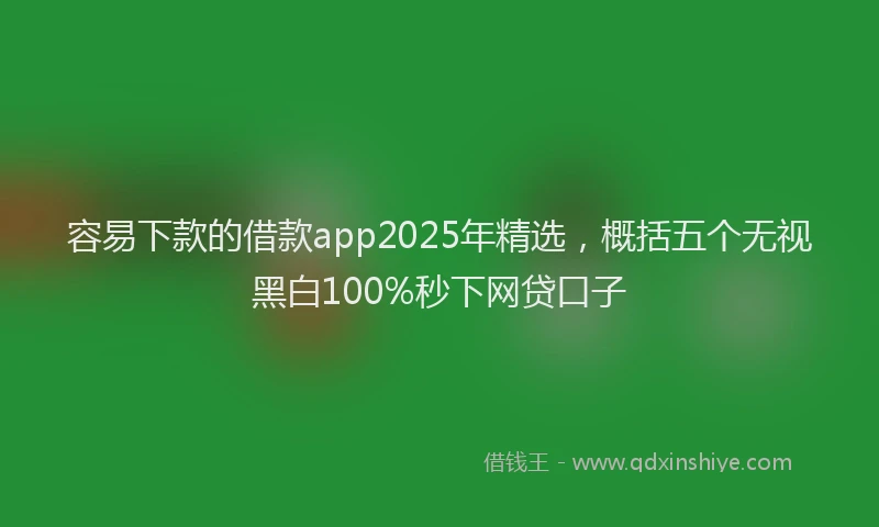 容易下款的借款app2025年精选，概括五个无视黑白100%秒下网贷口子