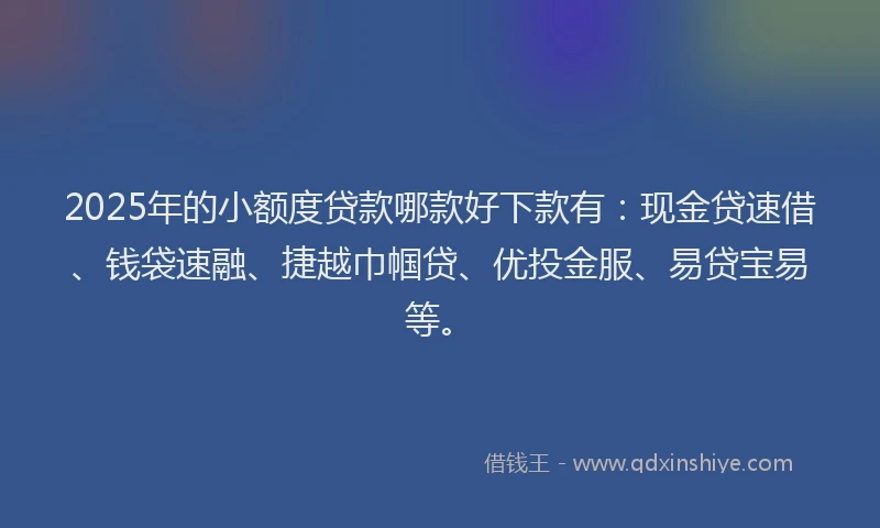 2025年的小额度贷款哪款好下款有：现金贷速借、钱袋速融、捷越巾帼贷、优投金服、易贷宝易等。