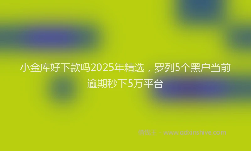 小金库好下款吗2025年精选，罗列5个黑户当前逾期秒下5万平台