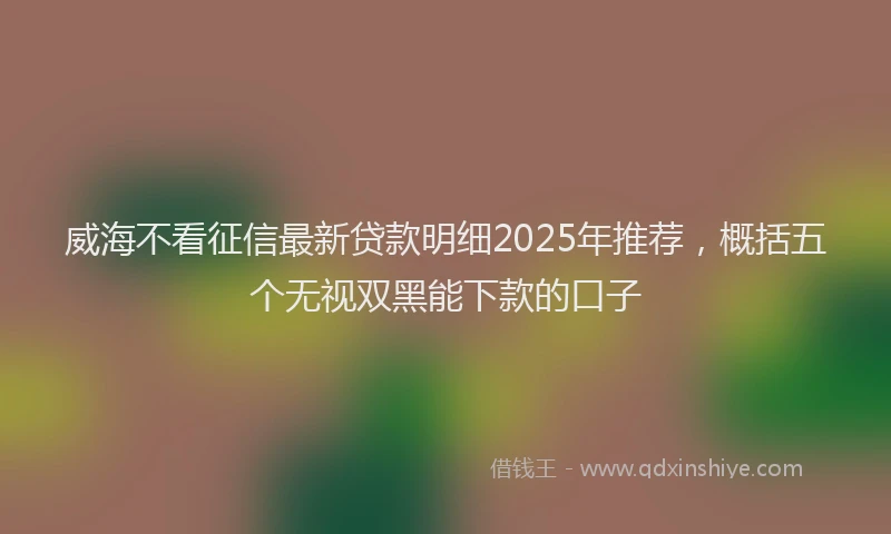 威海不看征信最新贷款明细2025年推荐，概括五个无视双黑能下款的口子