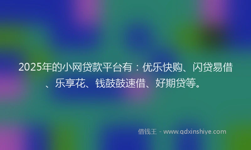 2025年的小网贷款平台有：优乐快购、闪贷易借、乐享花、钱鼓鼓速借、好期贷等。
