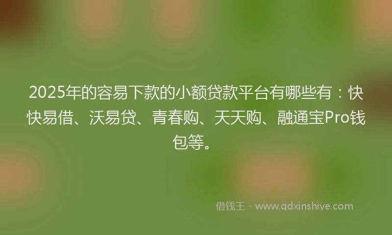 2025年的容易下款的小额贷款平台有哪些有：快快易借、沃易贷、青春购、天天购、融通宝Pro钱包等。