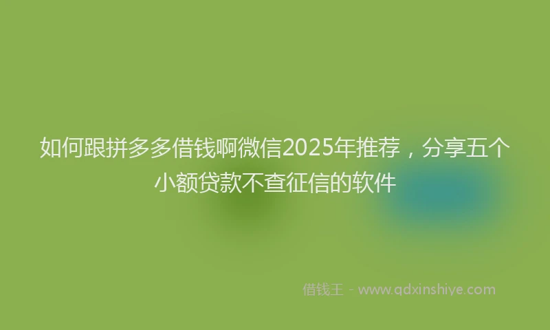 如何跟拼多多借钱啊微信2025年推荐，分享五个小额贷款不查征信的软件