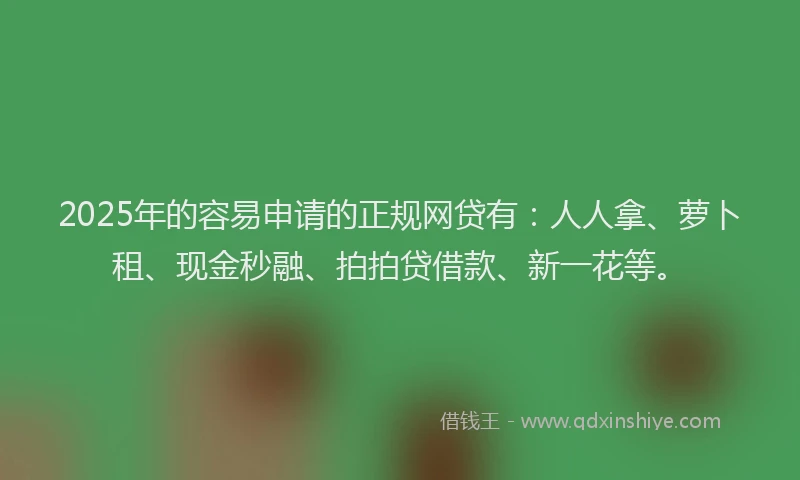 2025年的容易申请的正规网贷有：人人拿、萝卜租、现金秒融、拍拍贷借款、新一花等。