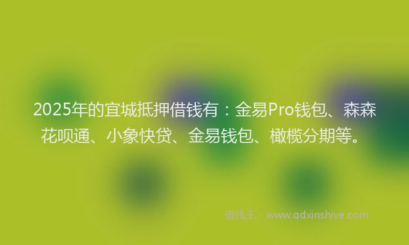2025年的宜城抵押借钱有：金易Pro钱包、森森花呗通、小象快贷、金易钱包、橄榄分期等。