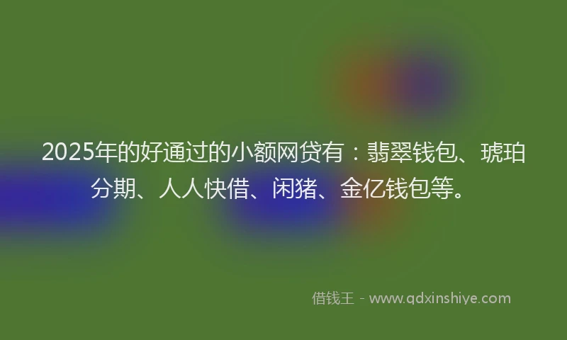 2025年的好通过的小额网贷有：翡翠钱包、琥珀分期、人人快借、闲猪、金亿钱包等。