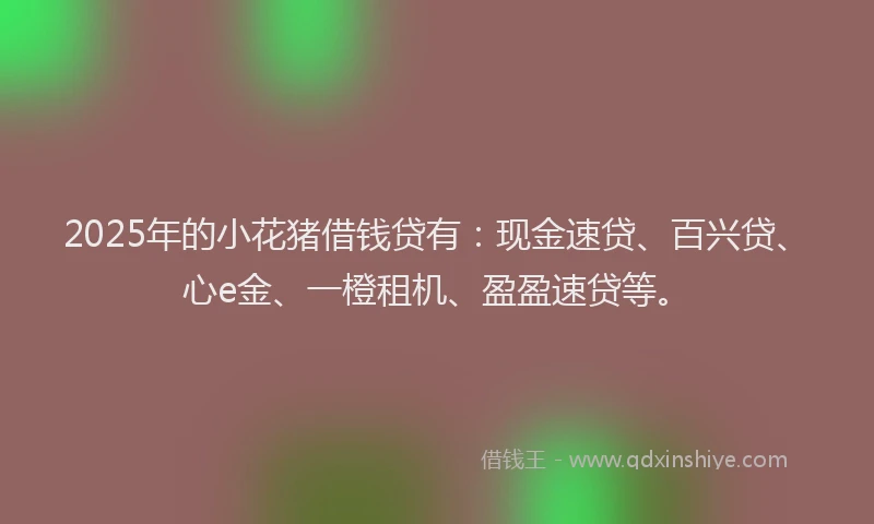 2025年的小花猪借钱贷有：现金速贷、百兴贷、心e金、一橙租机、盈盈速贷等。