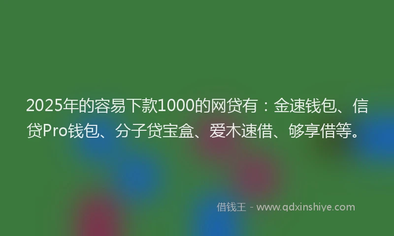 2025年的容易下款1000的网贷有：金速钱包、信贷Pro钱包、分子贷宝盒、爱木速借、够享借等。