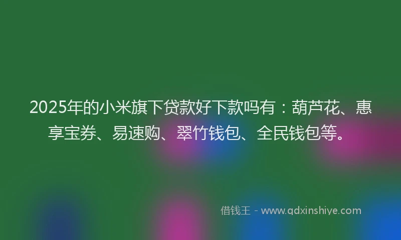 2025年的小米旗下贷款好下款吗有:葫芦花、惠享宝券、易速购、翠竹钱包、全民钱包等。