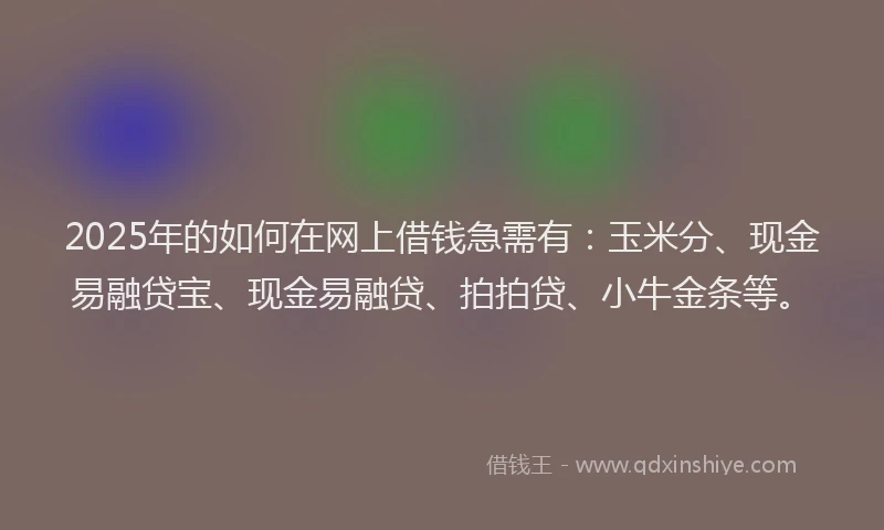 2025年的如何在网上借钱急需有：玉米分、现金易融贷宝、现金易融贷、拍拍贷、小牛金条等。