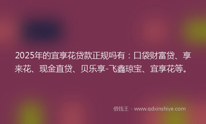 2025年的宜享花贷款正规吗有：口袋财富贷、享来花、现金直贷、贝乐享-飞鑫琼宝、宜享花等。