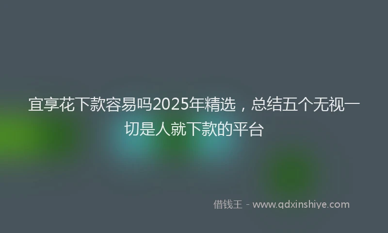 宜享花下款容易吗2025年精选，总结五个无视一切是人就下款的平台