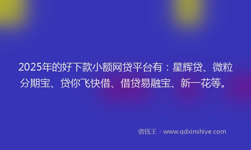 2025年的好下款小额网贷平台有：星辉贷、微粒分期宝、贷你飞快借、借贷易融宝、新一花等。