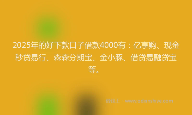 2025年的好下款口子借款4000有：亿享购、现金秒贷易行、森森分期宝、金小豚、借贷易融贷宝等。