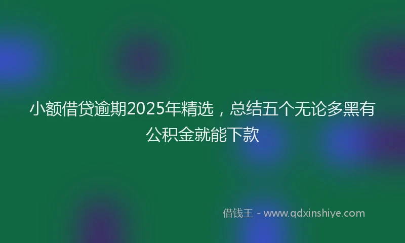 小额借贷逾期2025年精选，总结五个无论多黑有公积金就能下款