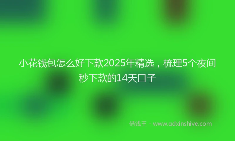 小花钱包怎么好下款2025年精选，梳理5个夜间秒下款的14天口子