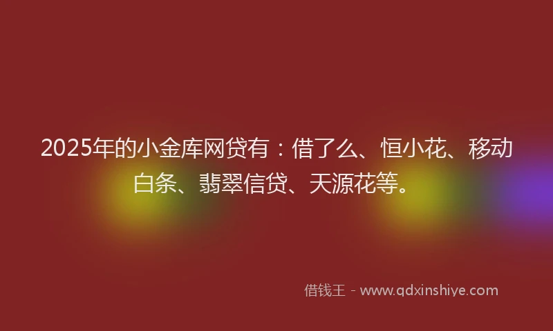 2025年的小金库网贷有：借了么、恒小花、移动白条、翡翠信贷、天源花等。