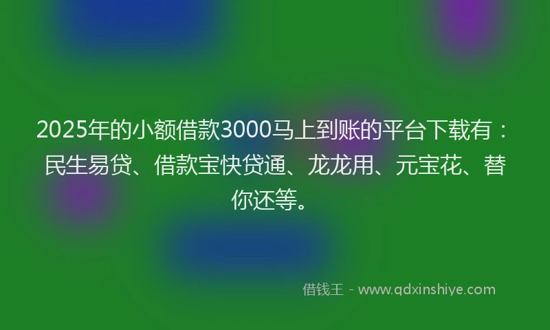 2025年的小额借款3000马上到账的平台下载有：民生易贷、借款宝快贷通、龙龙用、元宝花、替你还等。