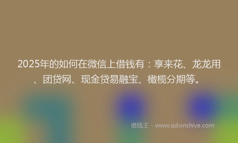 2025年的如何在微信上借钱有：享来花、龙龙用、团贷网、现金贷易融宝、橄榄分期等。