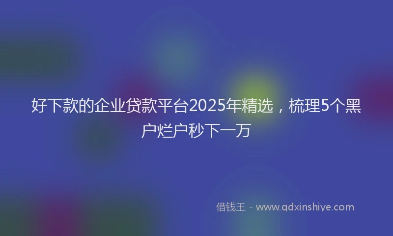 好下款的企业贷款平台2025年精选，梳理5个黑户烂户秒下一万